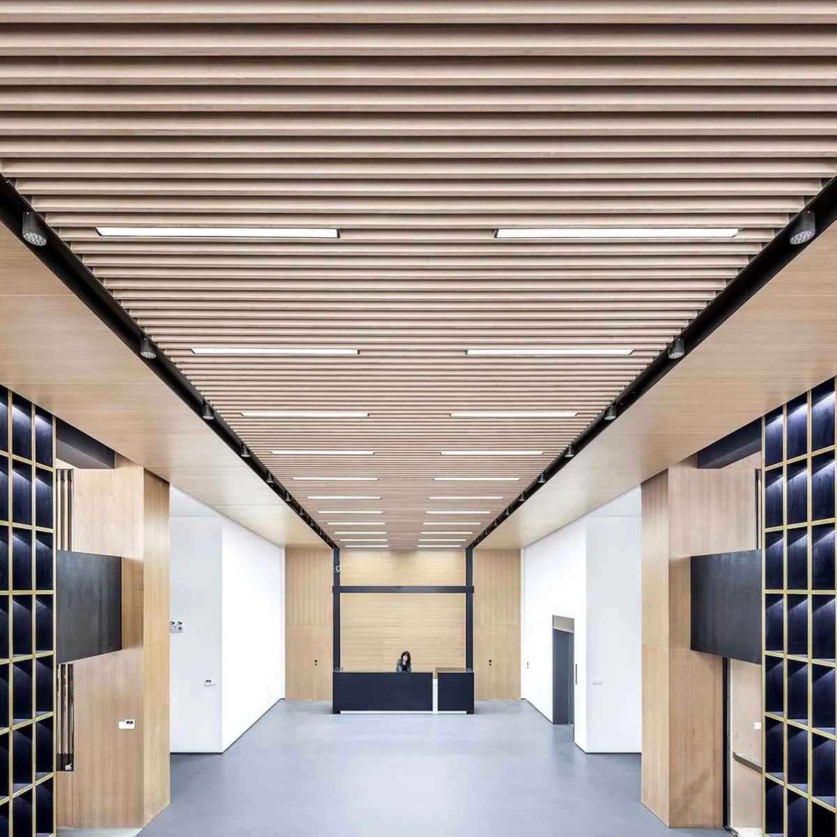 baffled ceiling
