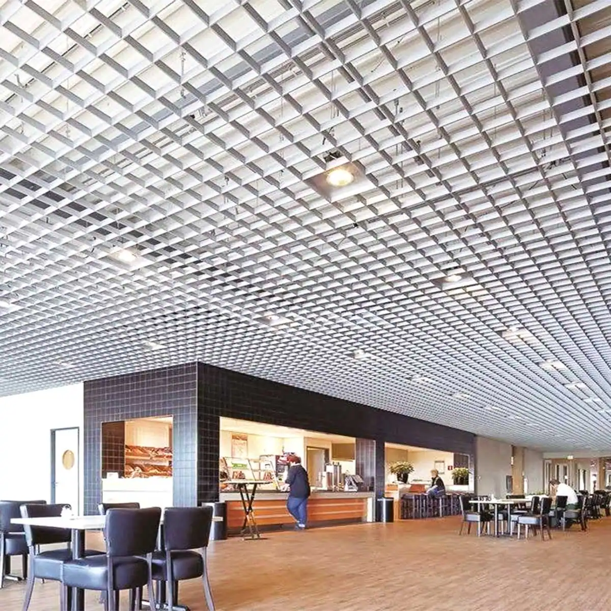 ceiling metal grid